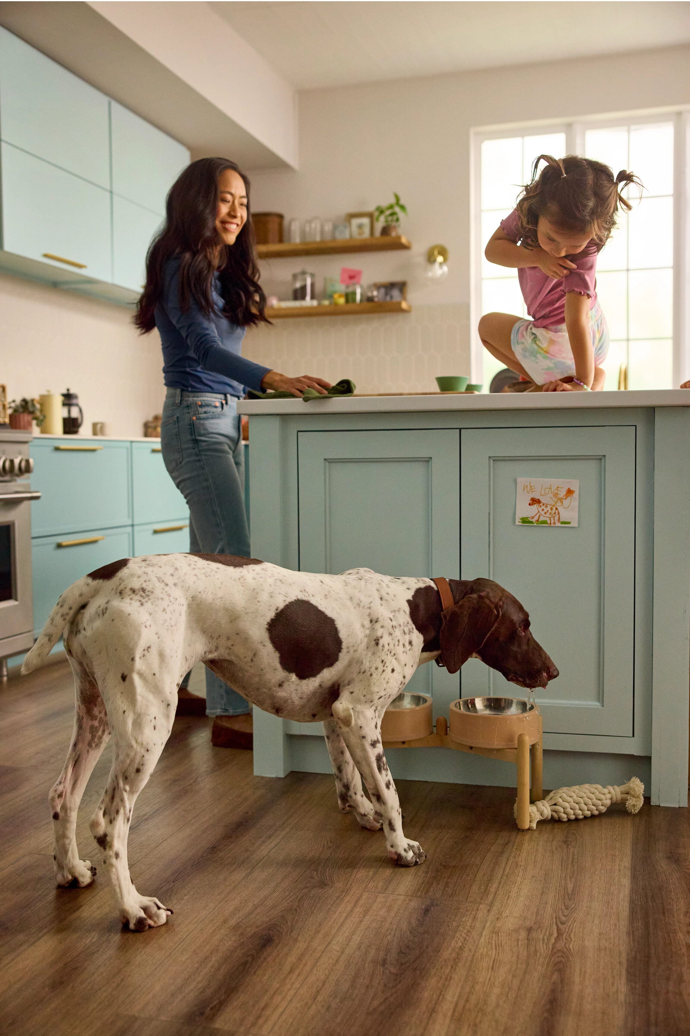 Pet Perfect Luxury Vinyl