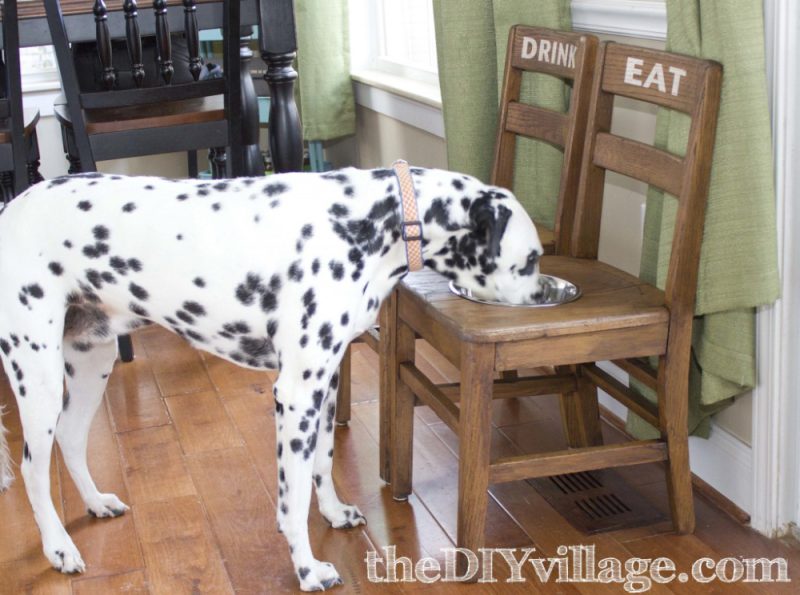 DIY Dog Bowl Chairs