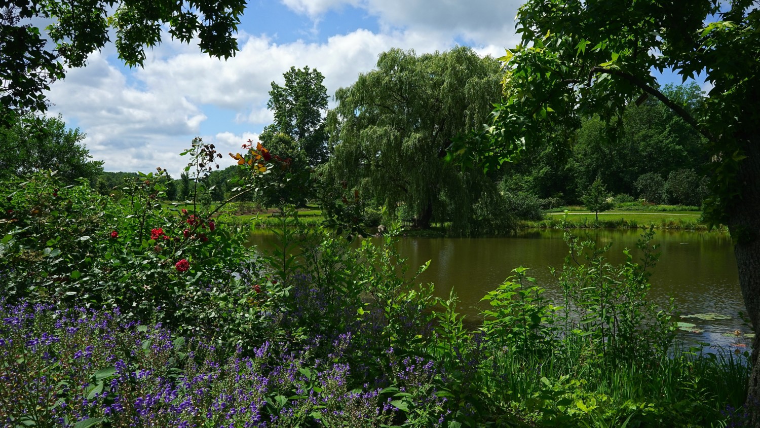 Ohio's Top Pet Friendly Attraction: Holden Arboretum | GoPetFriendly.com