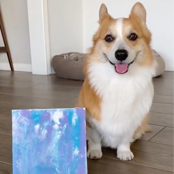 Dog Painted Canvas