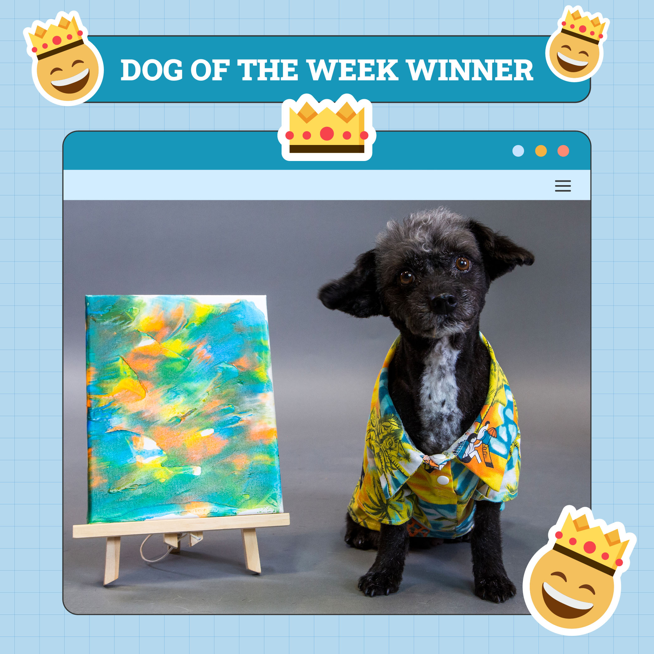 Koda Dog of Week Winner