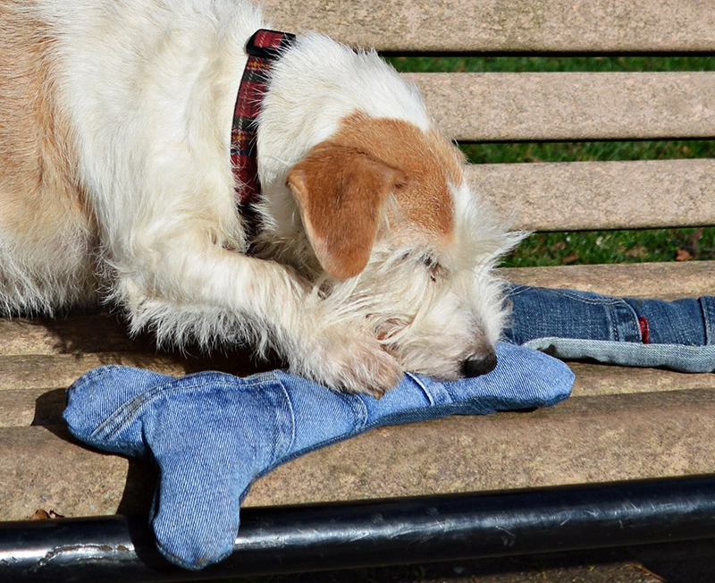 Upcycled Denim Dog Bone Toy