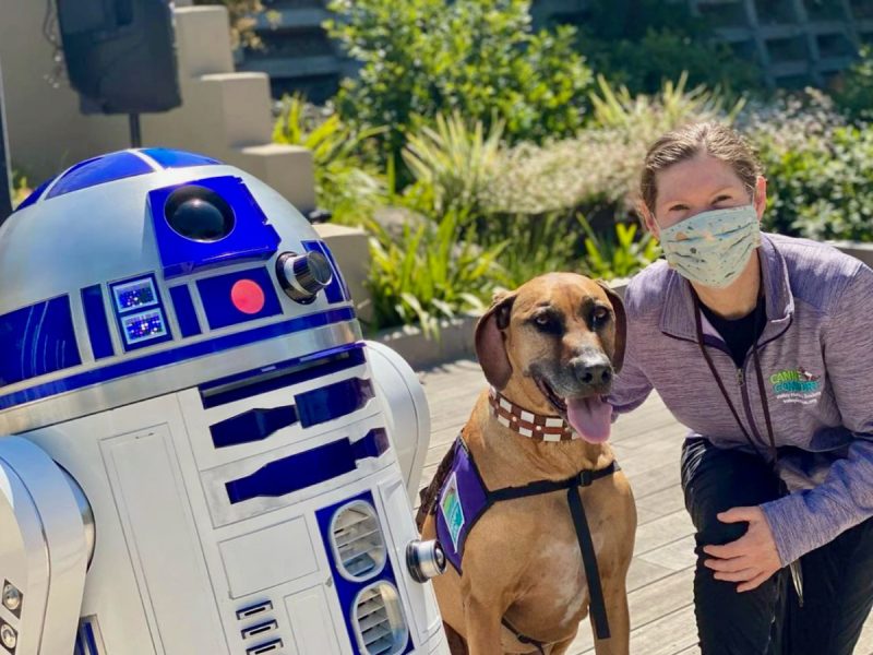 Dayo celebrating May 4th at George Mark Children’s House in San Leandro, CA