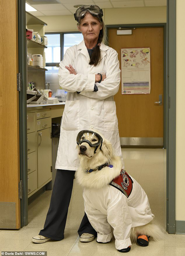 Sampson the Science Dog ready for lab