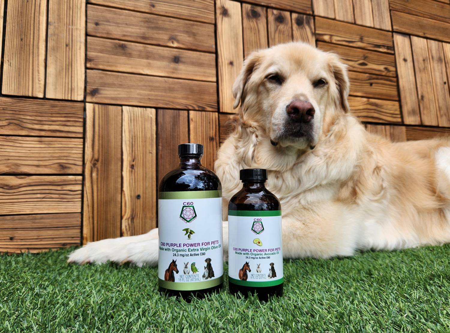 C60 Purple Power For Pets Review - dog with products