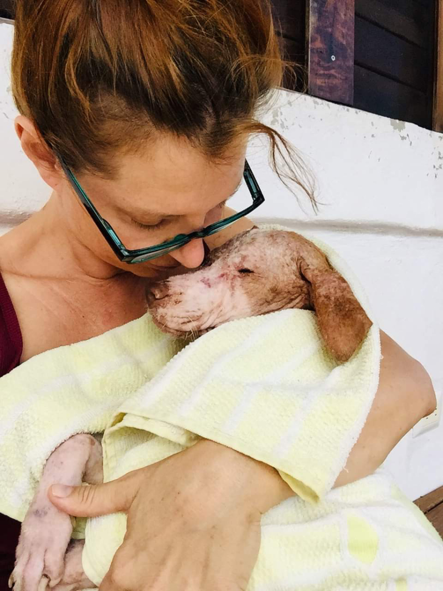 Heather hugging the rescue dog in the towel