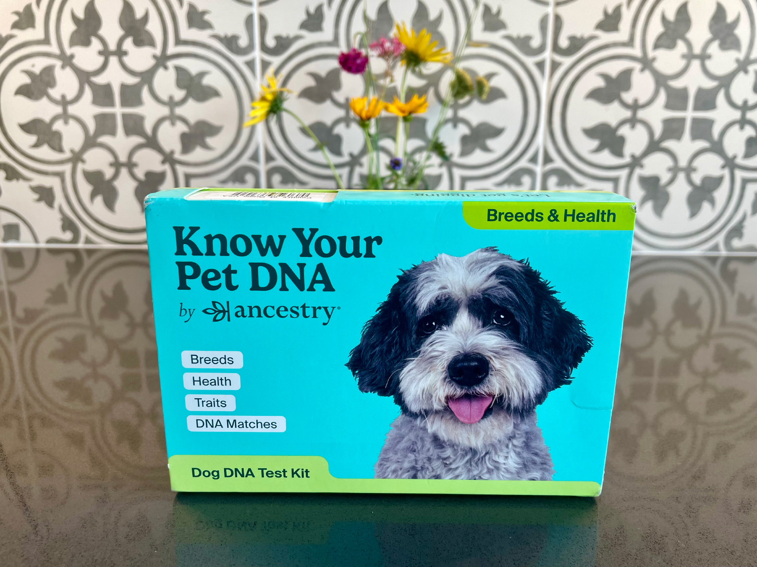 Know Your Pet Dog DNA by ancestry