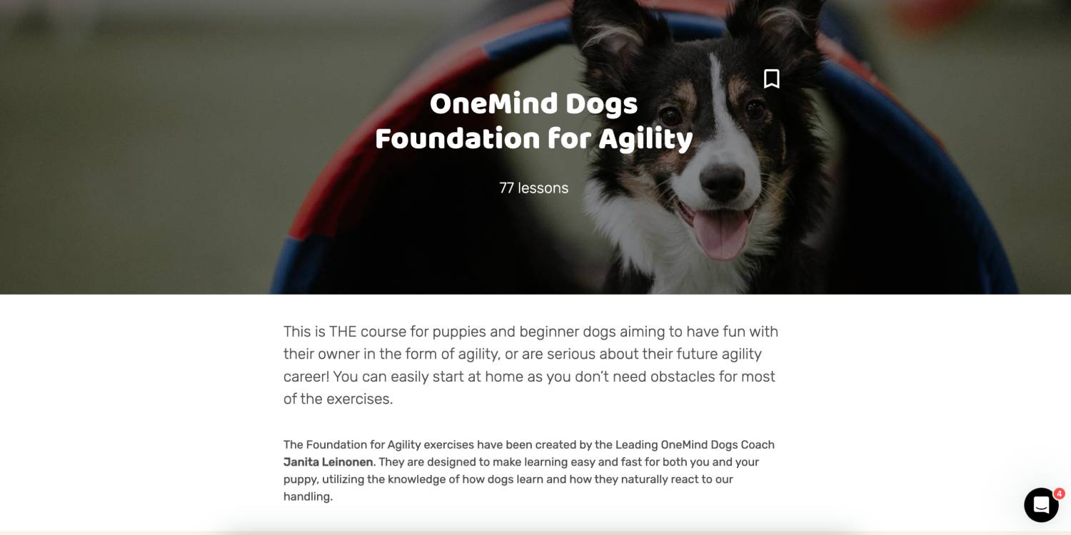 OneMind Dogs Review - OneMind Dogs Foundation for Agility