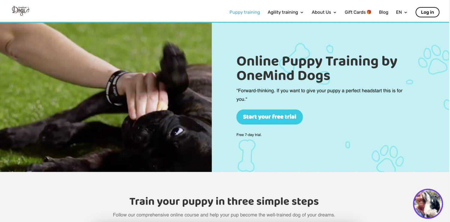 OneMind Dogs Review - online puppy training