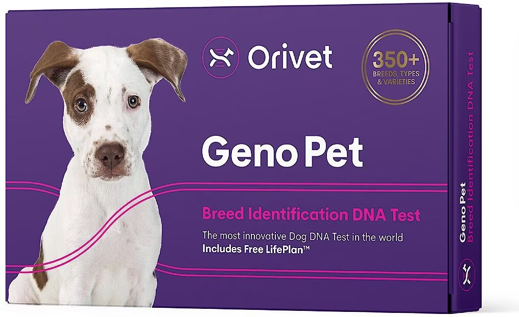 Orivet Geno Pet Dog DNA Breed Identification Test 