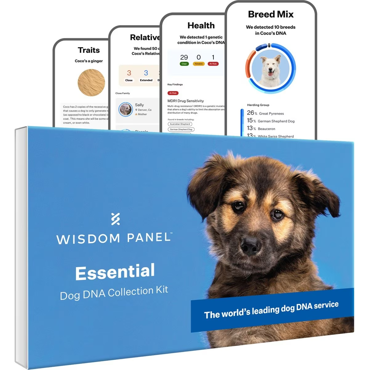 Wisdom Panel Essential Breed Identification DNA Test for Dogs