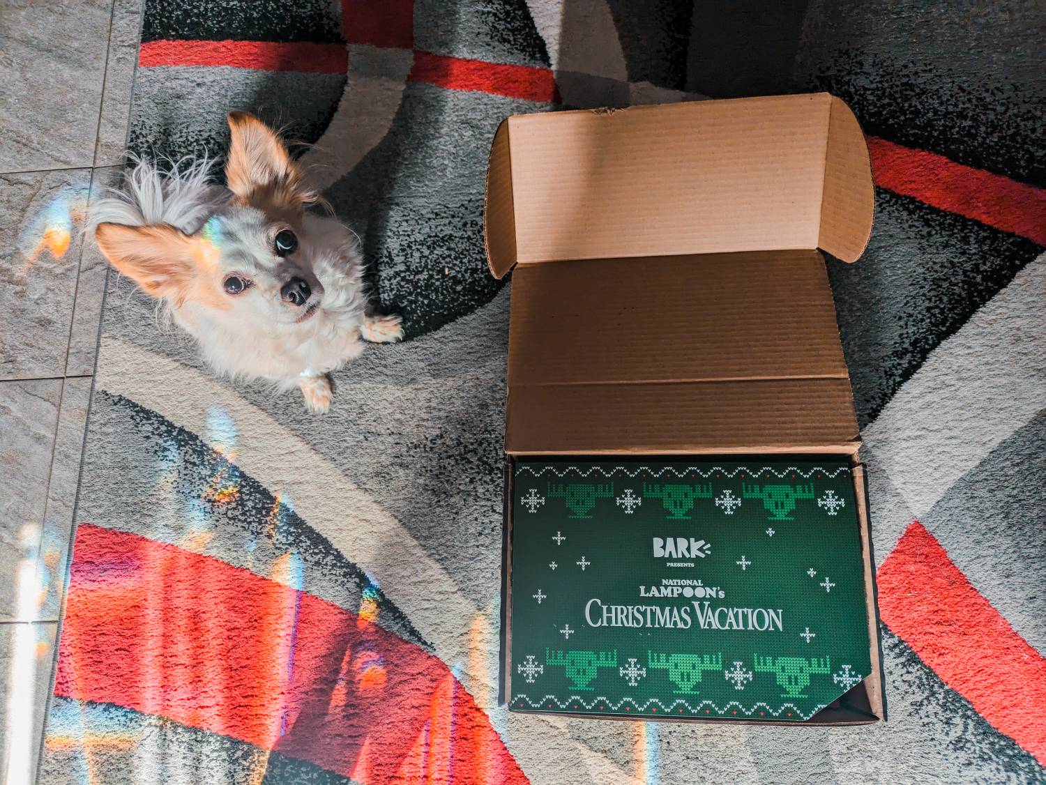 BarkBox Review - Christmas theme