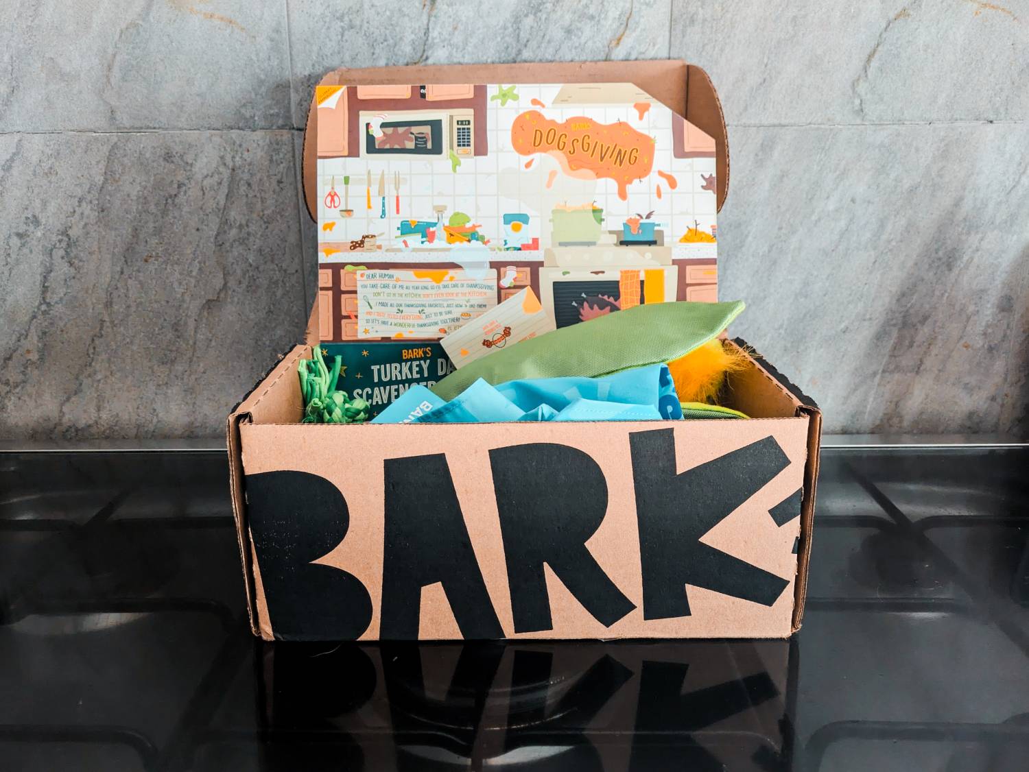 BarkBox Review - close up of barkbox