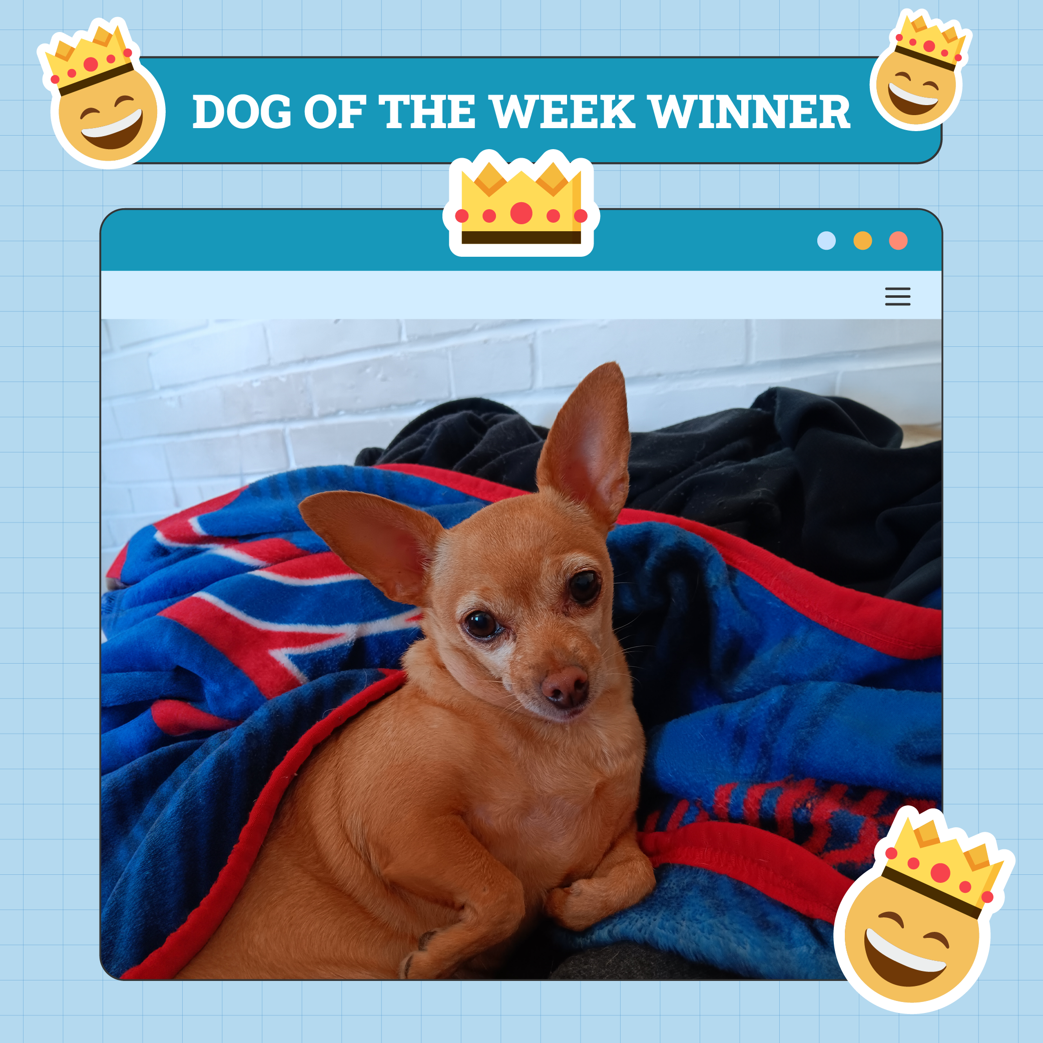 Dog Week Winner