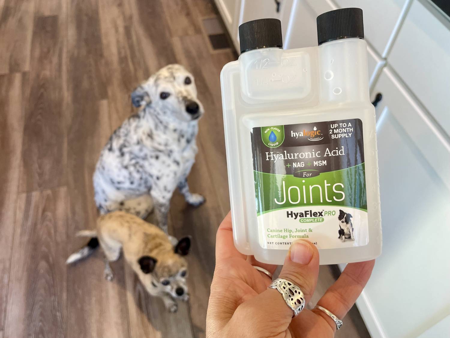 Hyalogic Hyaflex™ PRO Complete Joint Care Liquid Review - owner holding product with dogs in the background