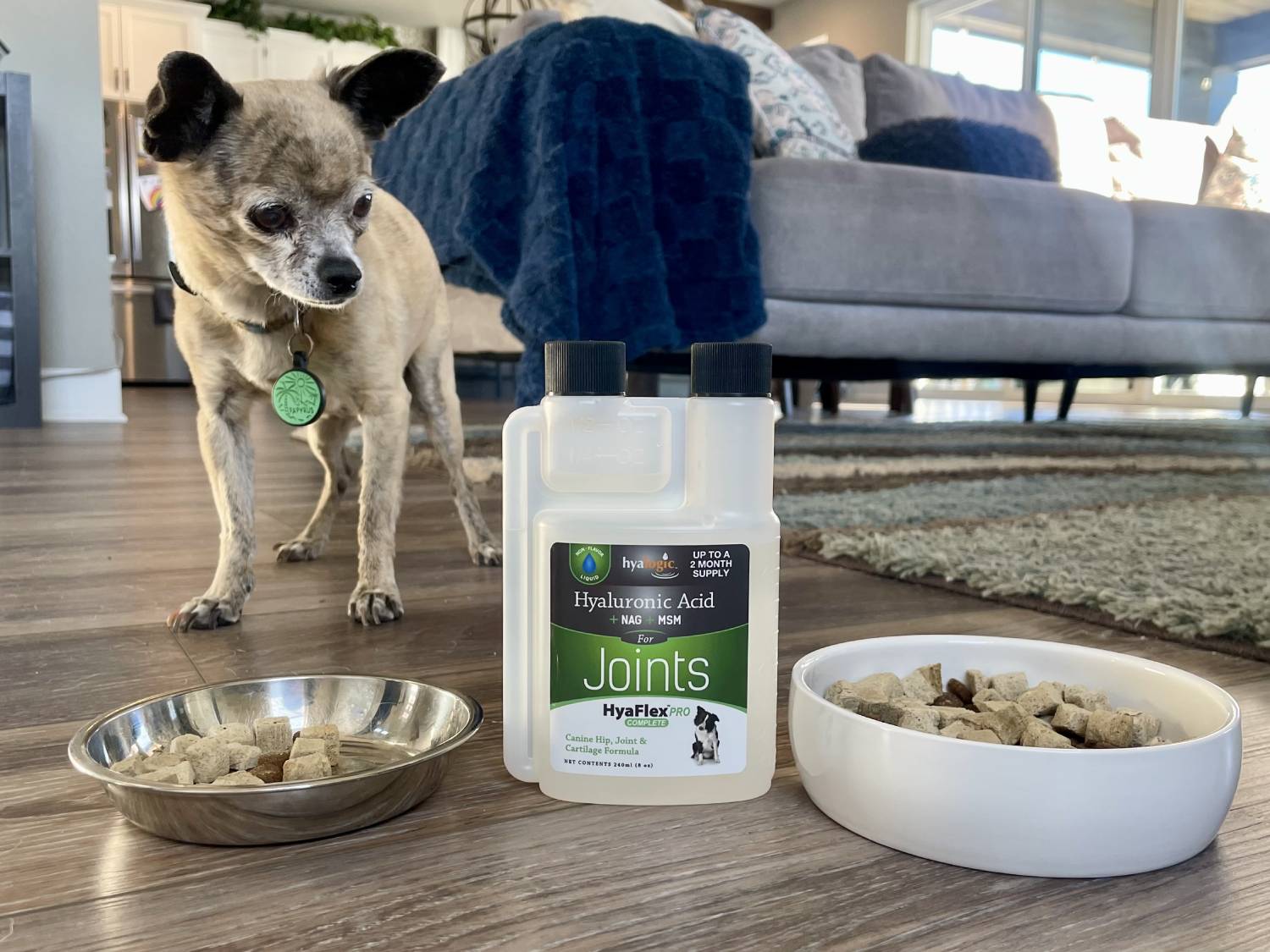 Hyalogic Hyaflex™ PRO Complete Joint Care Liquid Review - product with dog and bowls