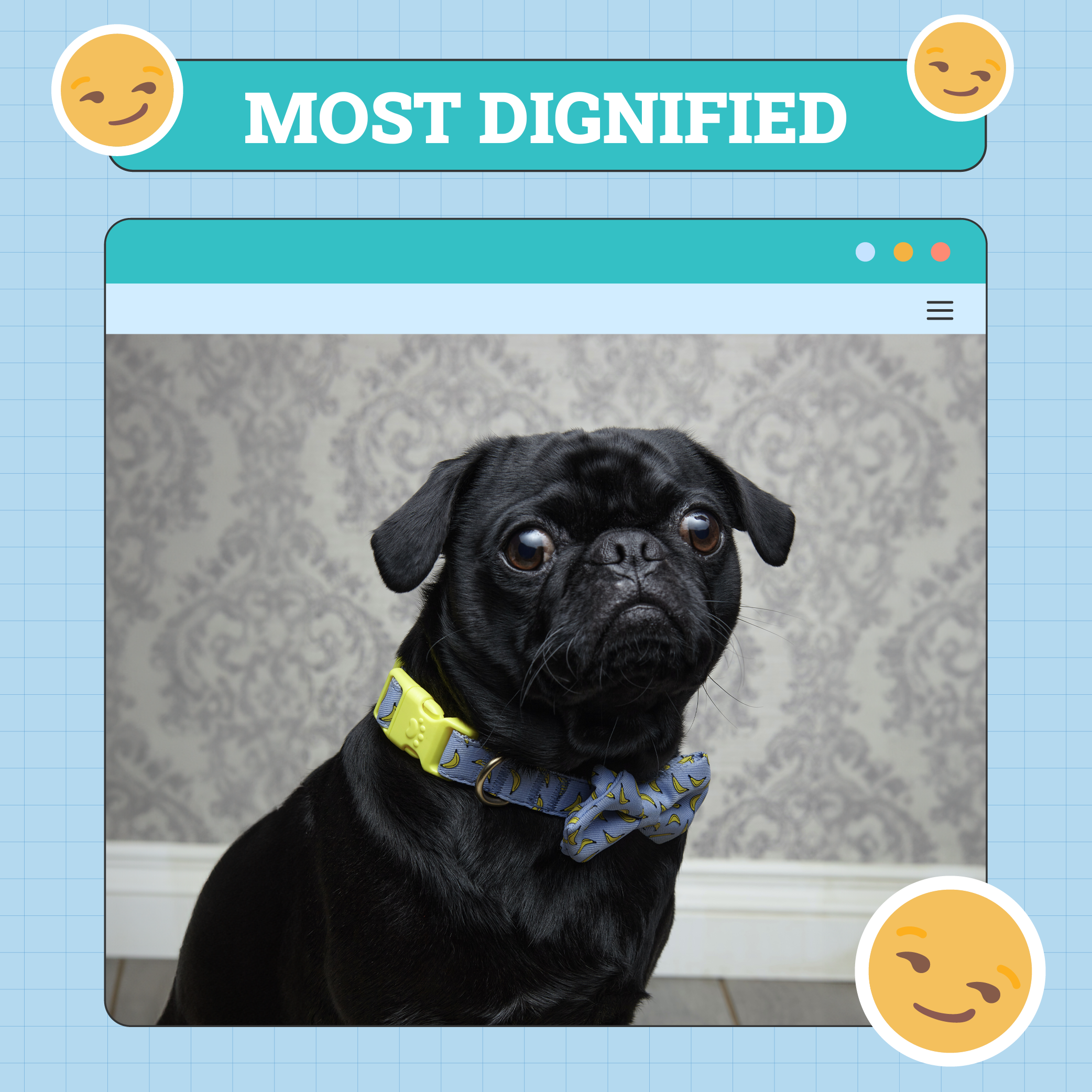 Most Dignified