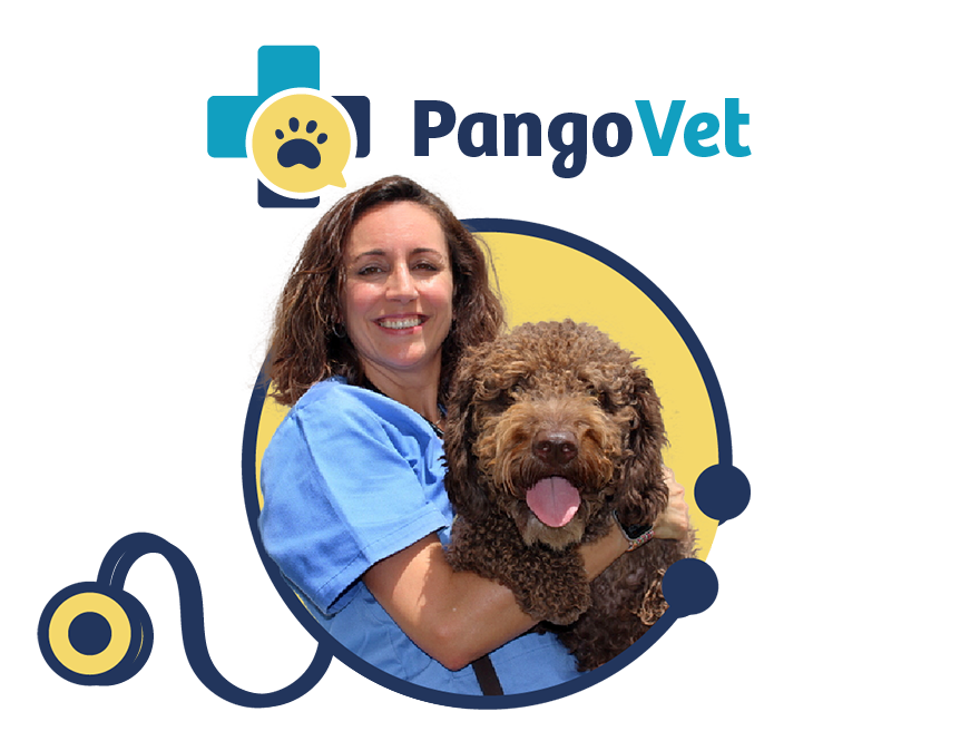 PangoVet