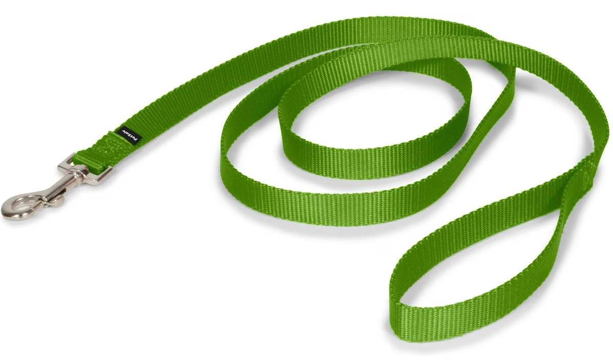 PetSafe Nylon Dog Leash