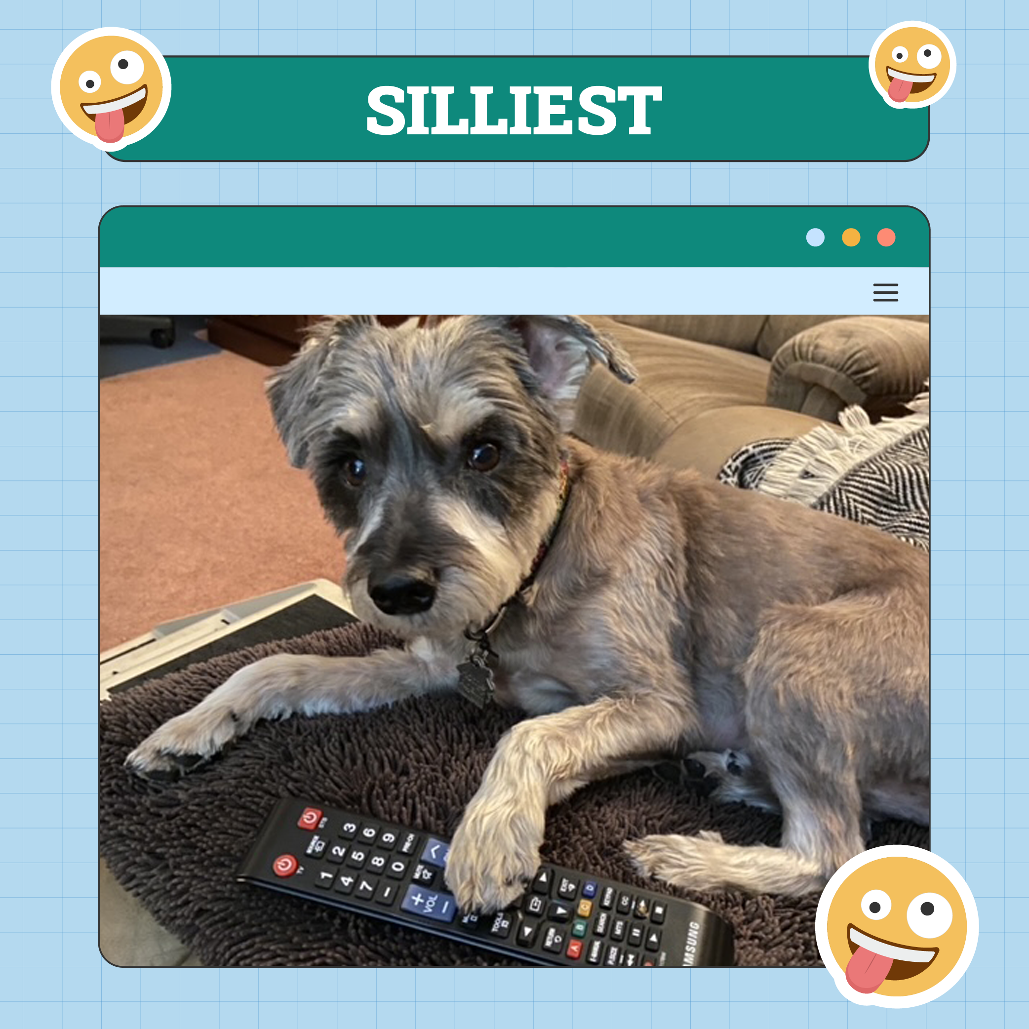 Silliest Dog Week