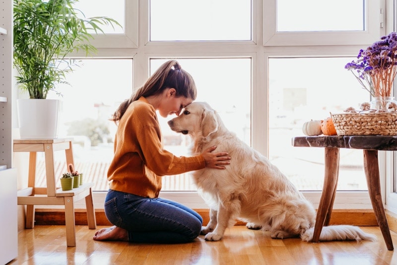 woman smelling her golden retriever